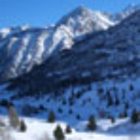 Pelligrino Pizza & Deli